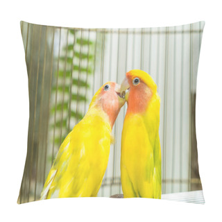 Personality  Beautiful Parrot Lovebird Pillow Covers