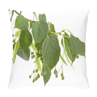 Personality  Green Leaves And Fruits Of Linden, Isolated On White Background Pillow Covers