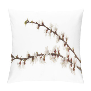 Personality  Branches Of Blooming Fruit Tree On White Background Pillow Covers