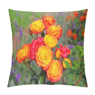 Personality  Rose Rumba Pillow Covers