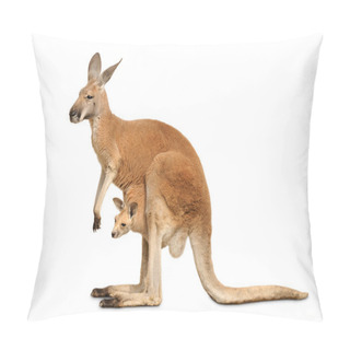 Personality  Isolated Kangaroo With Cute Joey Pillow Covers