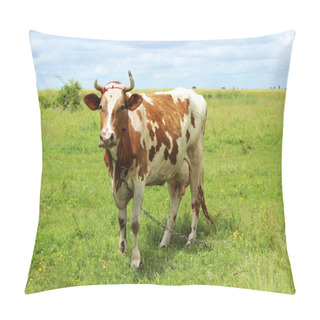 Personality  Cow In The Pasture. Cow Standing On The Grass On A Background Of Pillow Covers
