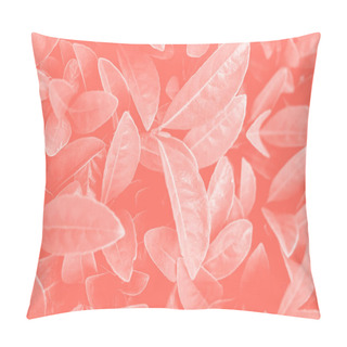 Personality  Color Of The Year 2019 Living Coral. Floral Natural Pattern Of Foliage. Popular Trend Palette For Design Illustrations, Fabrics, Fashion, Images. Tinted Background. Pillow Covers