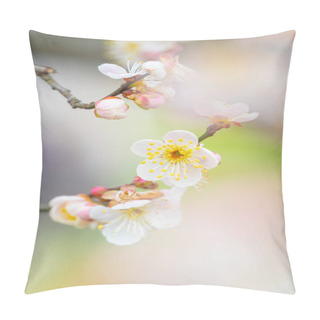 Personality  Plum Blossoms In Full Bloom In Wuhan East Lake Plum-blossom Garden In Spring Pillow Covers