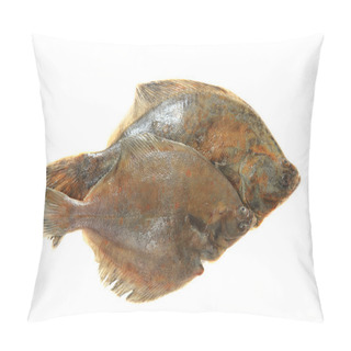 Personality  Flatfishes Isolated  Pillow Covers