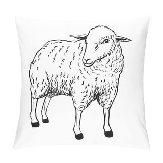Personality  Illustration Of Sheep - Vector Illustration Pillow Covers