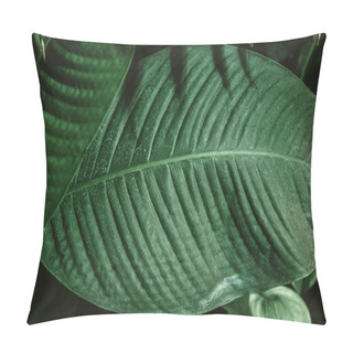 Personality  Tropical Leaf Texture, Dark Green Foliage Nature Background. Pillow Covers