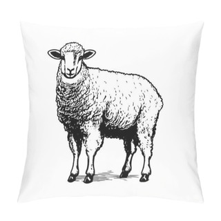 Personality  Sheep Hand Drawn Illustrations, Vector. Pillow Covers