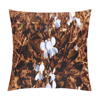Personality Blue Flowers Of Violets, Early Spring Pillow Covers
