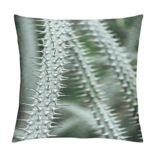 Personality  Close Up View Of Green Cacti Leaves With Sharp Needles Pillow Covers