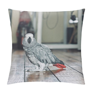 Personality  African Grey Parrot Pillow Covers