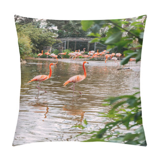Personality  Couple Of Beautiful Pink Flamingo Staying In Zoo Pond And Group Of Flamingos On Shore, Barcelona, Spain Pillow Covers