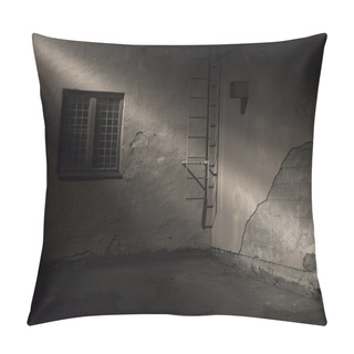 Personality  Spooky Dark Back Yard Pillow Covers