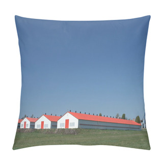 Personality  Poultry Farm Pillow Covers
