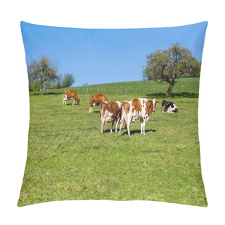 Personality  Swiss Cows On Meadow, Aargau, Switzerland Pillow Covers