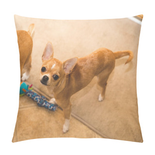 Personality  Miniature Chihuahuas Playing Pillow Covers