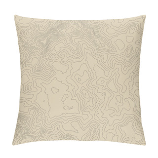 Personality  Topographic Map Background Concept With Space For Your Copy. Pillow Covers