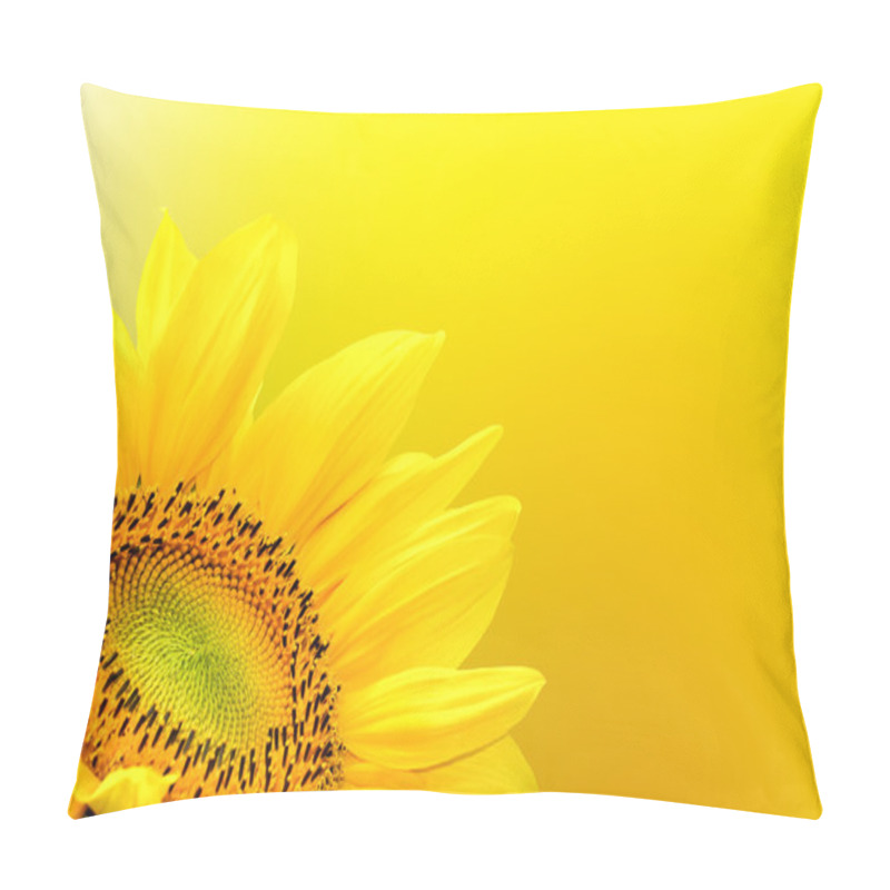 Personality  Sunflower on summer background pillow covers