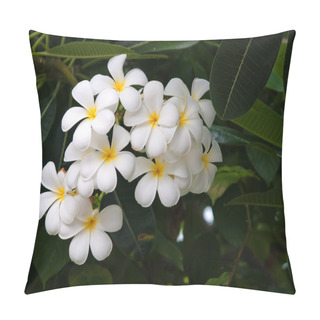 Personality  Branch Of Tropical Flowers Frangipani (plumeria) Pillow Covers