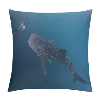 Personality  Whale Shark Underwater Approaching A Scuba Diver In The Deep Blue Sea Similar To Attack But Inoffensive Pillow Covers