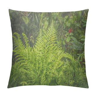 Personality  Rain In Forest Jungle Pillow Covers