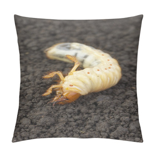 Personality  Cockchafer Larva On The Ground Pillow Covers