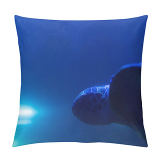 Personality  Turtle Swimming Under Water In Aquarium With Blue Lighting Pillow Covers