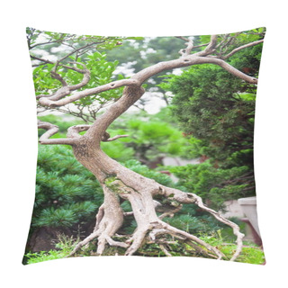 Personality  Bonsai Tree Pillow Covers