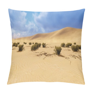 Personality  Desert Landscape 2 Pillow Covers