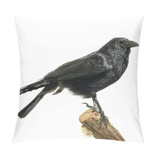Personality  Carrion Crow Pillow Covers