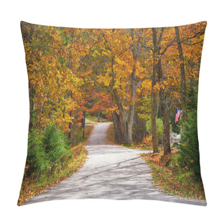 Personality  Winding Country Road In Autumn Pillow Covers