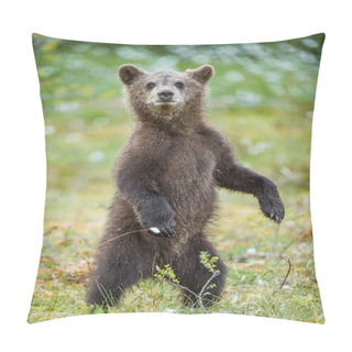 Personality  Bear Cub Stood Up On Its Hind Legs Pillow Covers