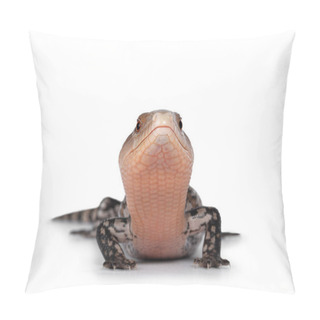 Personality  Detailed Shot Of An Indonesian Blue-tongued Skink Ak Pillow Covers