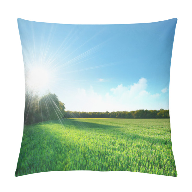 Personality  Green field under the sun pillow covers