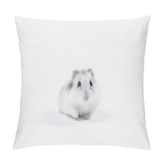 Personality  Funny Fluffy Hamster Looking At Camera On Grey Background With Copy Space Pillow Covers