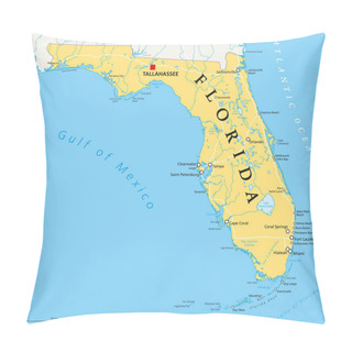 Personality  Florida Political Map Pillow Covers