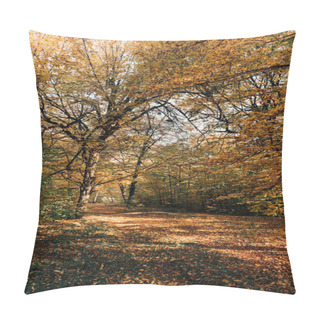 Personality  Autumn Leaves On Tree Twigs In Peaceful Forest Pillow Covers
