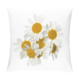 Personality  Beautiful Fresh Chamomile Flowers Isolated On White Pillow Covers