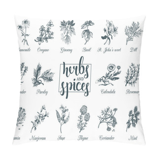 Personality  Herbs And Spices Set. Pillow Covers