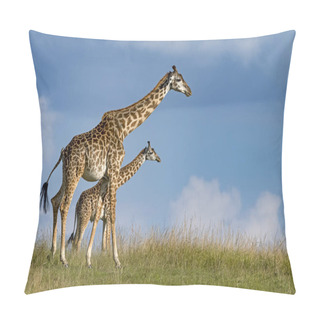Personality  Giraffes (giraffa Camelopardalis),walk Through The Savannah,masai Mara,kenya Pillow Covers