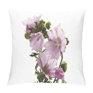 Personality  Wild Hollyhock Flowers Isolated On White Pillow Covers