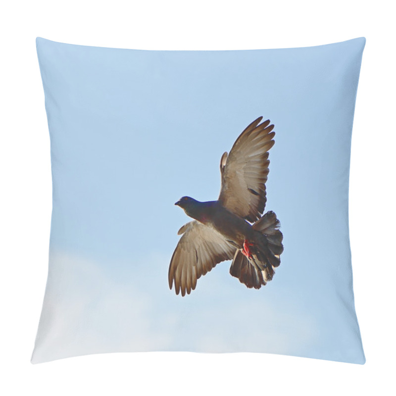 Personality  Rock Pigeon Pillow Covers