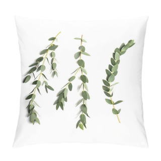 Personality  Green Eucalyptus Branches Pillow Covers