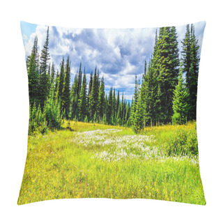 Personality  Hiking Through Alpine Meadows Covered In Wildflowers In The High Alpine Near The Village Of Sun Peaks Pillow Covers