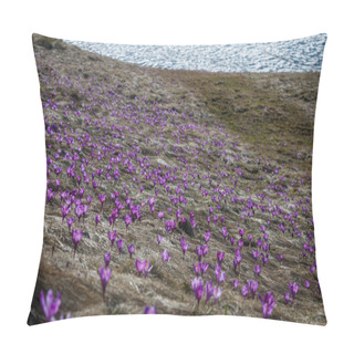 Personality  Spring Pillow Covers