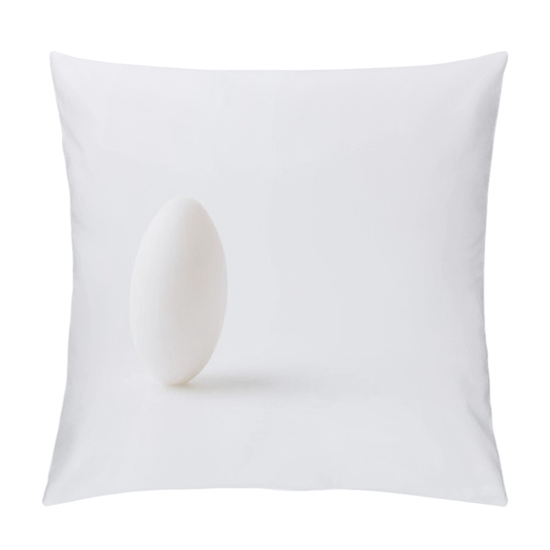 Personality  White Egg Laying On White Background Pillow Covers