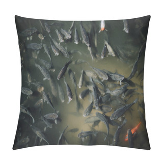Personality  High Angle View Of Large Flock Of Black And Red Carps Swimming In Pond  Pillow Covers