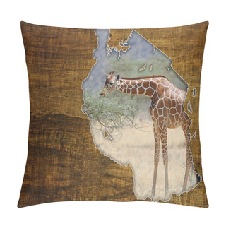 Personality  Tanzania Wildlife Map Design Pillow Covers
