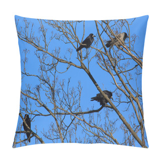 Personality  Crows And Rooks Pillow Covers