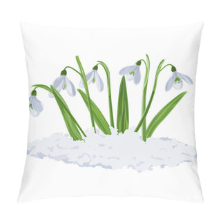 Personality  Vector Illustration Of Five Shoots Of Early First Spring Flowers Snowdrops In Snow. Galnthus Nivlis Vector Graphic On Transparent Background. Illustration Of Five Flowers Snowdrops In Vector. Illustrations Of Flowers In Vector. Pillow Covers